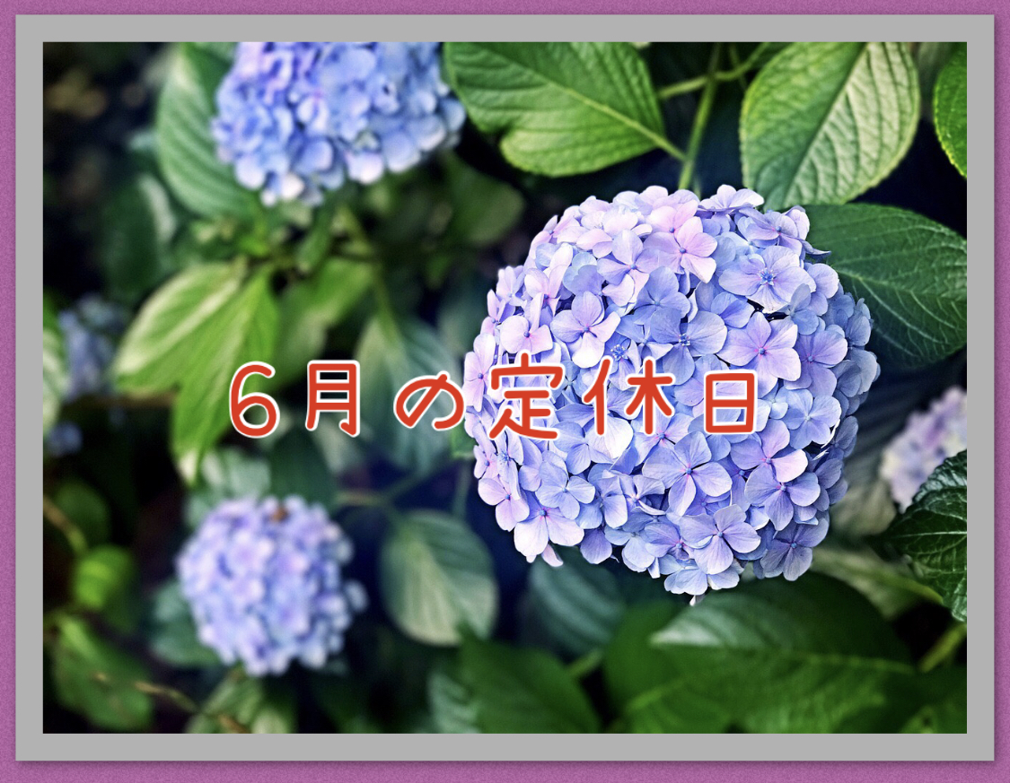 ６月定休日