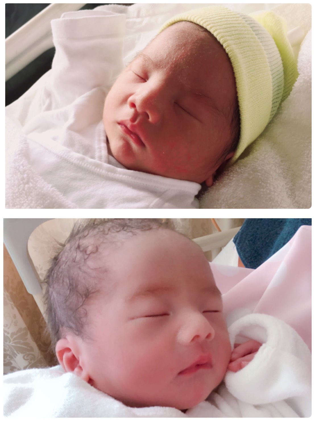 【ご報告】新たな家族が誕生してくれました♪