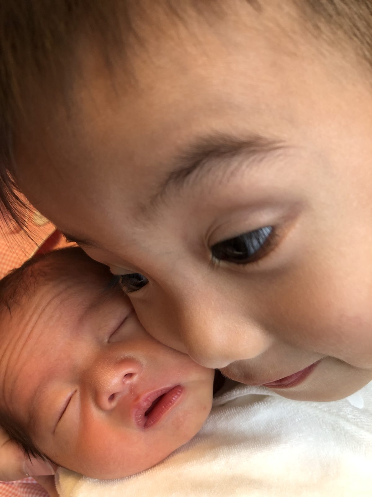 【ご報告】新たな家族が誕生してくれました♪