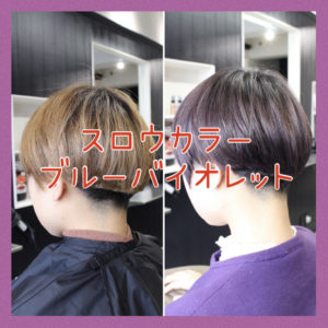 【ブリーチ履歴ありのカラー】スロウカラーで楽しむブルーヴァイオレットが超綺麗☆のBlog