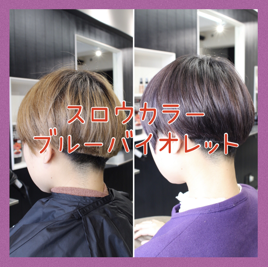【ブリーチ履歴ありのカラー】スロウカラーで楽しむブルーヴァイオレットが超綺麗☆のBlog