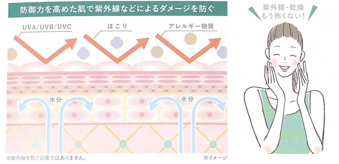 ユーグレナ資料