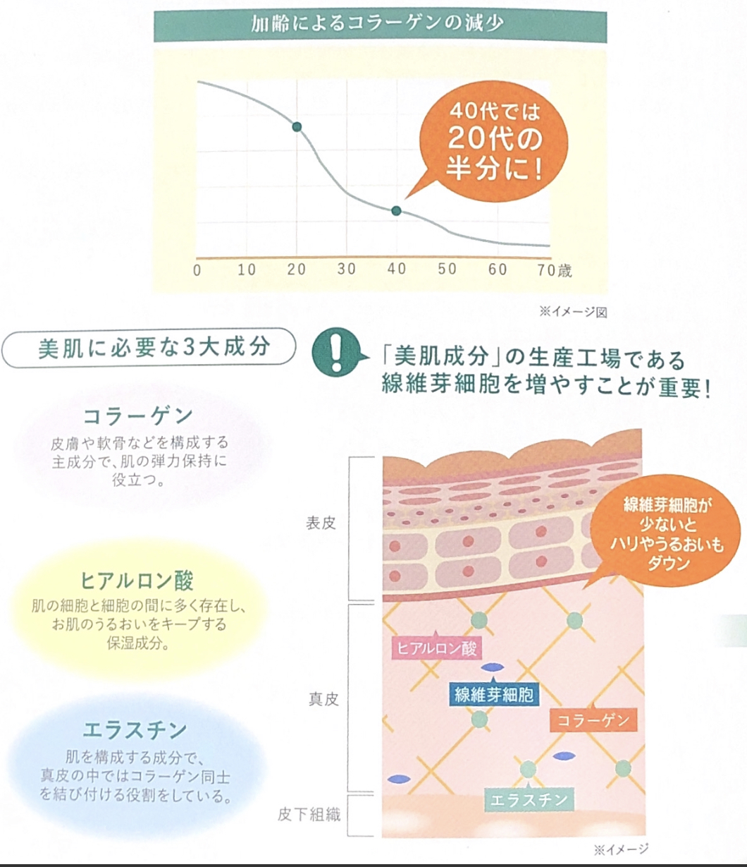 ユーグレナ資料