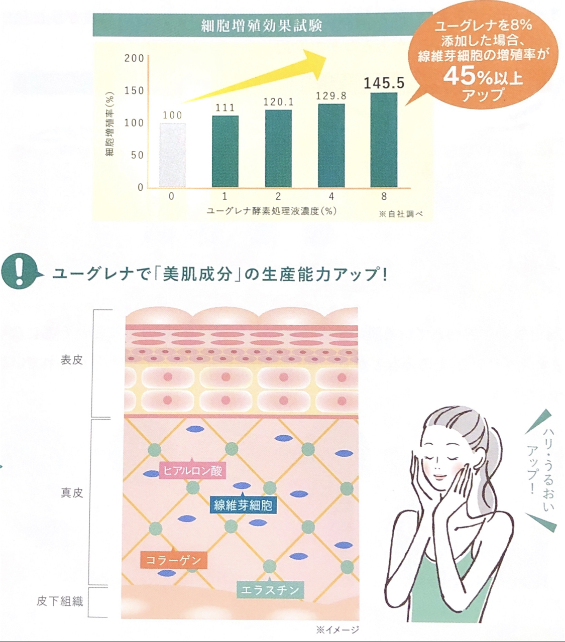 ユーグレナ資料