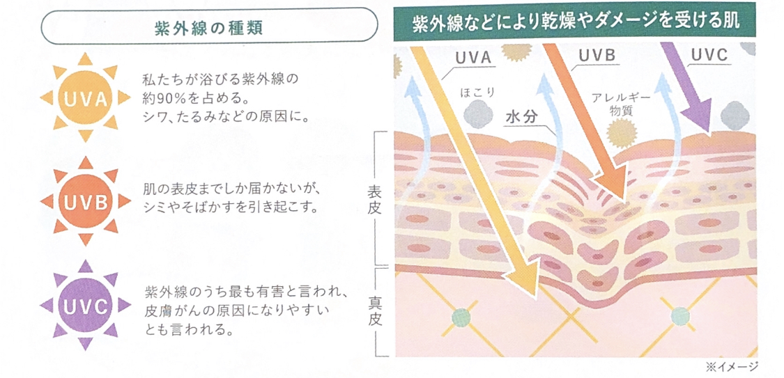 ユーグレナ資料