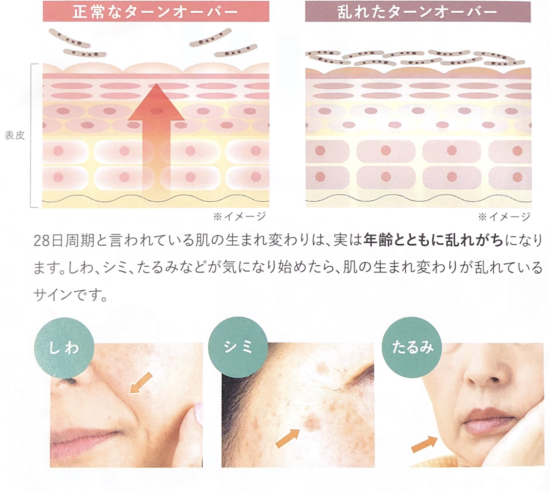 ユーグレナ資料