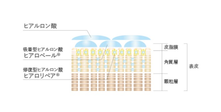 ユーグレナ　B.C.A.D.　化粧品