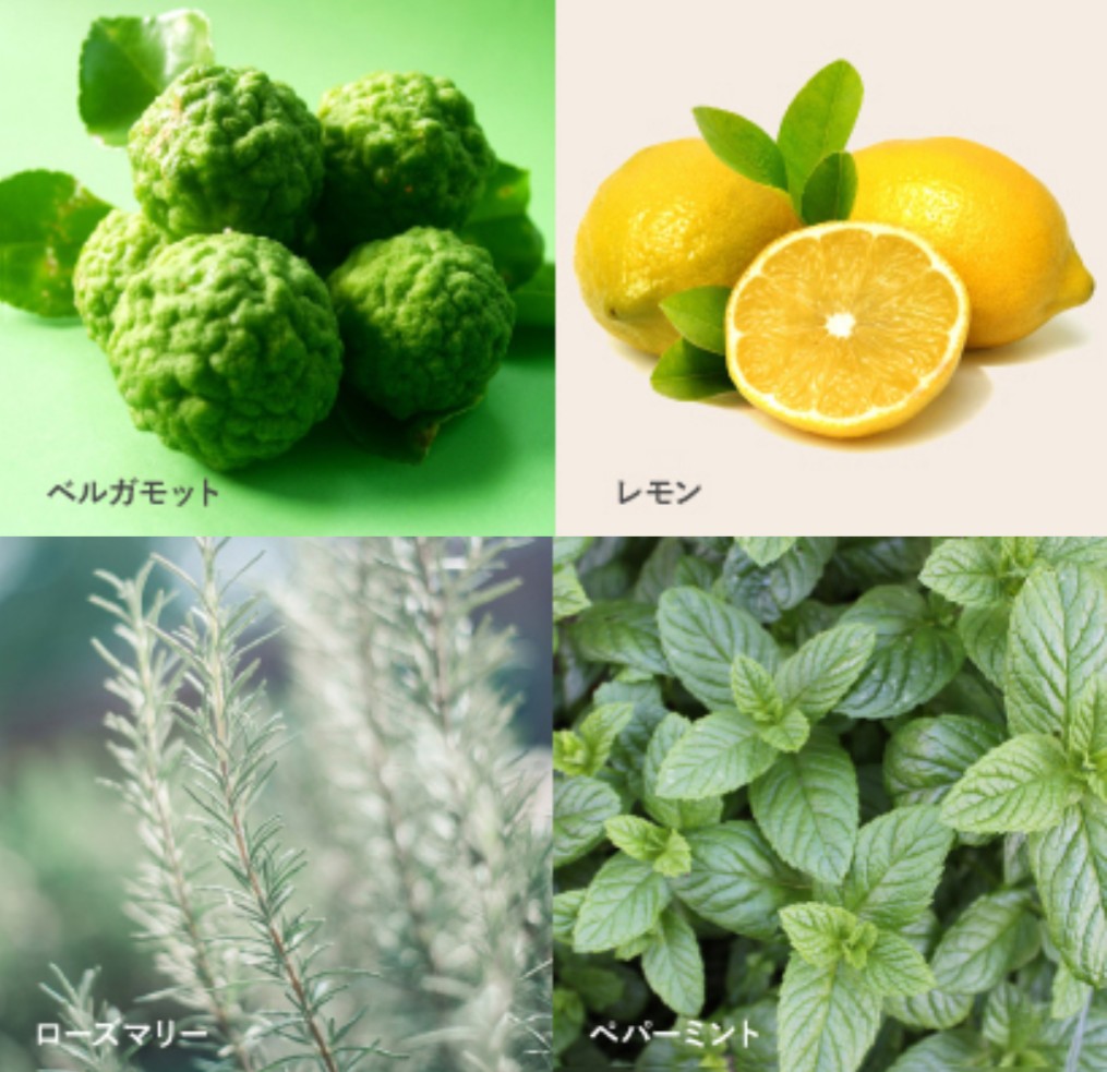 ユーグレナ　B.C.A.D.　化粧品