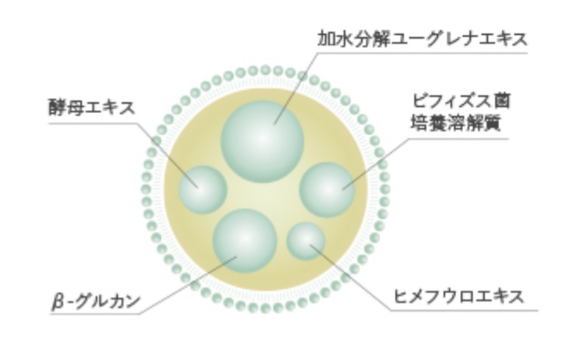 ユーグレナ　B.C.A.D.　化粧品