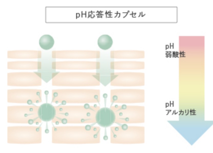 ユーグレナ　B.C.A.D.　化粧品