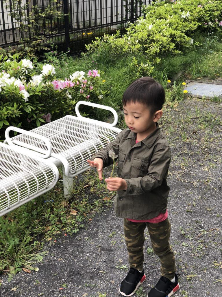 【休日公園Blog】お休みの時は決まって息子と公園へ遊びに行く♪