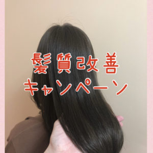 髪質改善キャンペーン