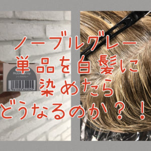 【ティントバー・白髪】ノーブルグレーを単品で白髪に染めたらどうなるのか！？