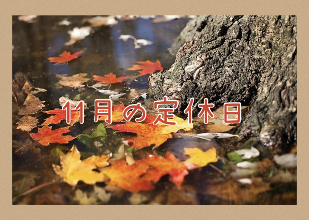 【サロン情報・定休日】２０２０年１１月の定休日のお知らせ♪