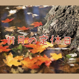 【サロン情報・定休日】２０２０年１１月の定休日のお知らせ♪