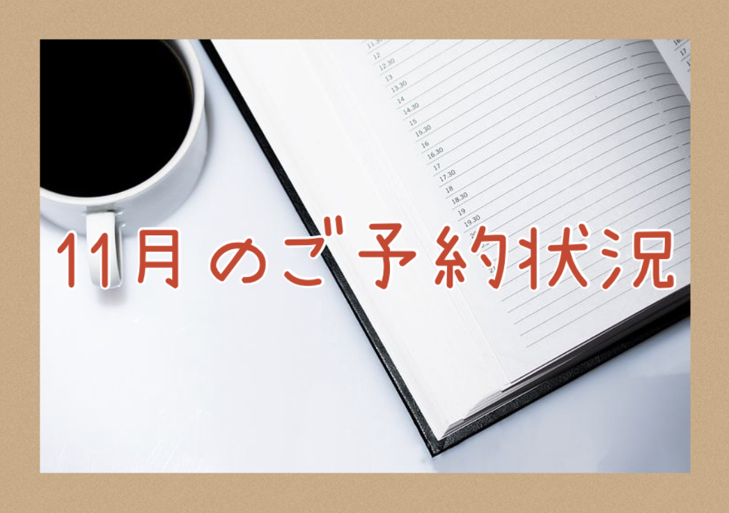 【サロン情報・予約確認】２０２０年１１月のご予約状況♪