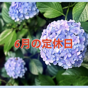 【サロン情報・定休日】２０２１年６月の定休日のお知らせ♪