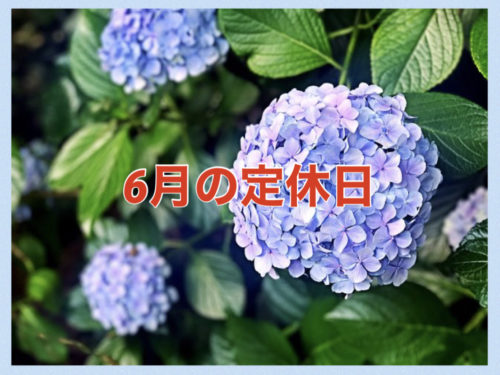 【サロン情報・定休日】２０２１年６月の定休日のお知らせ♪