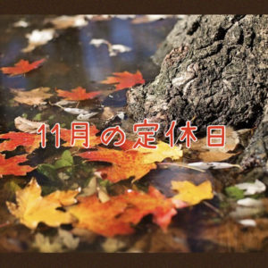 【サロン情報・定休日】２０２１年１１月の定休日のお知らせ♪