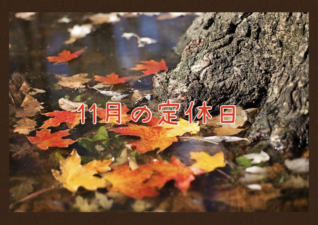 【サロン情報・定休日】２０２１年１１月の定休日のお知らせ♪