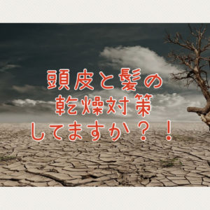 【乾燥が気になる方必見】秋・冬・真冬に髪の静電気やパサつき、頭皮の痒みや抜け毛の対応策とは？！
